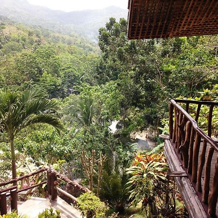 Hilltop Cottages Loboc Exterior foto